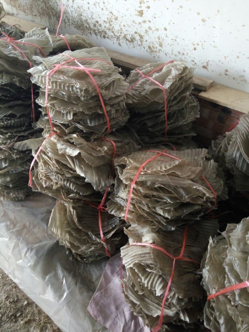 红薯粉皮散装手工粉皮