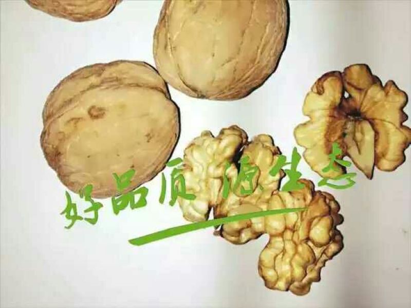 薄皮核桃去皮干