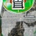 黑木耳一级