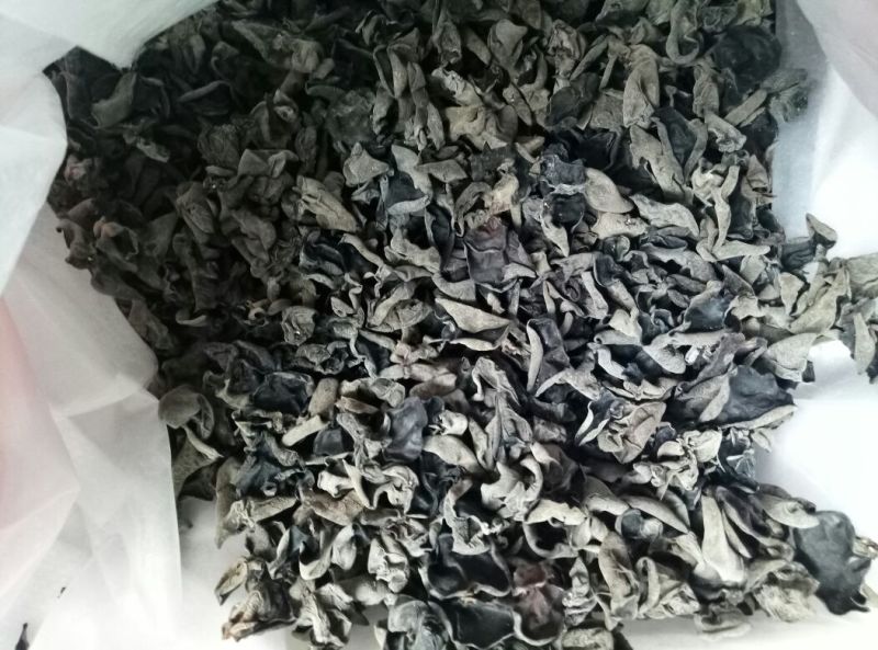 黑木耳特级