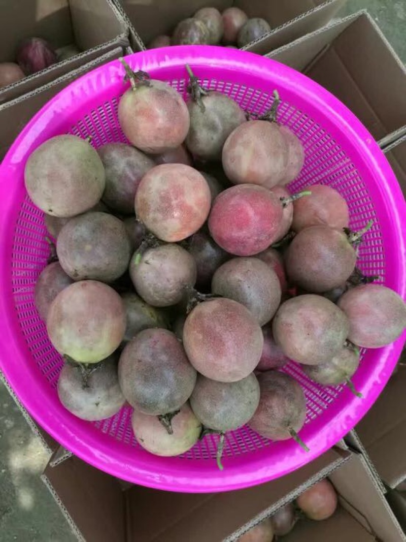 百香果