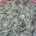 河虾冰鲜虾26~30只/kg
