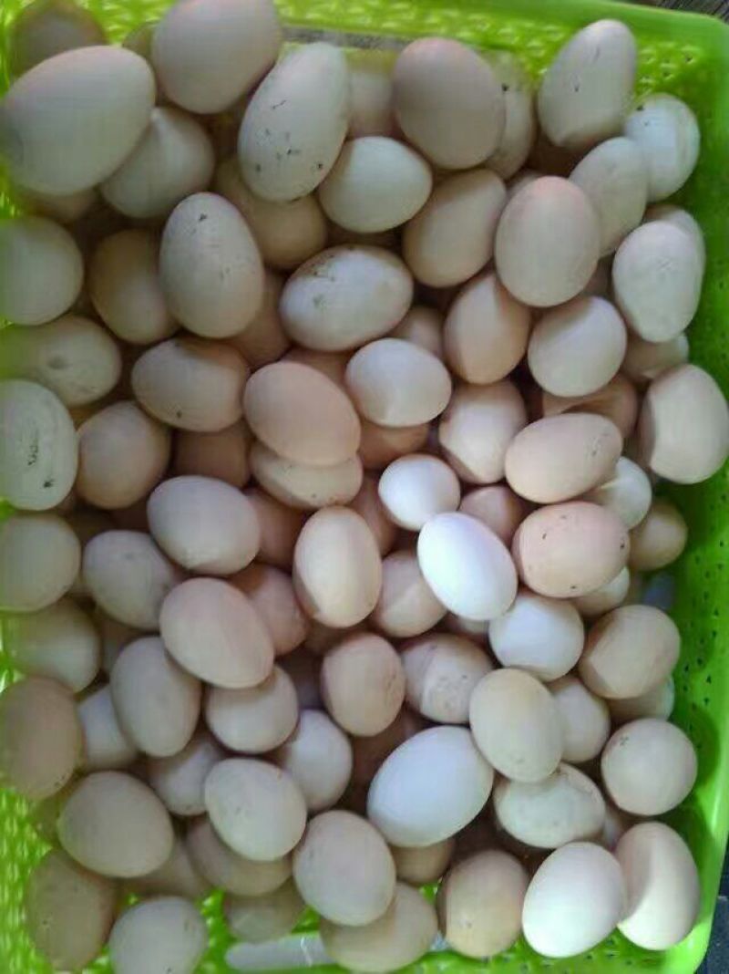 土鸡蛋食用50~60g