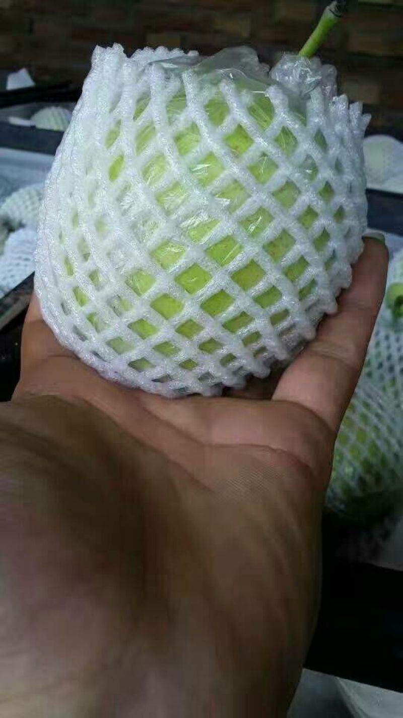 鸭梨250~300g纸加膜