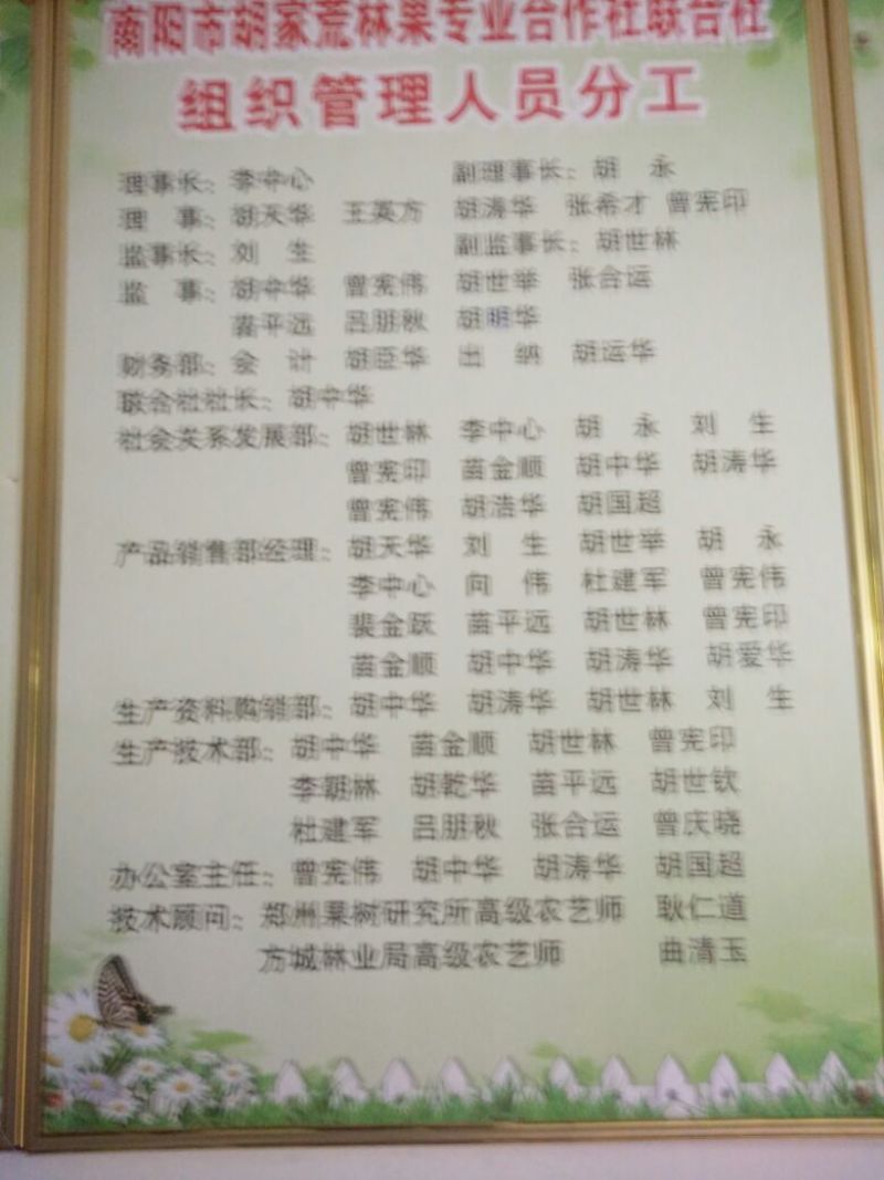 黄金梨200~250g纸袋