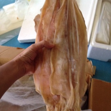 鱿鱼干