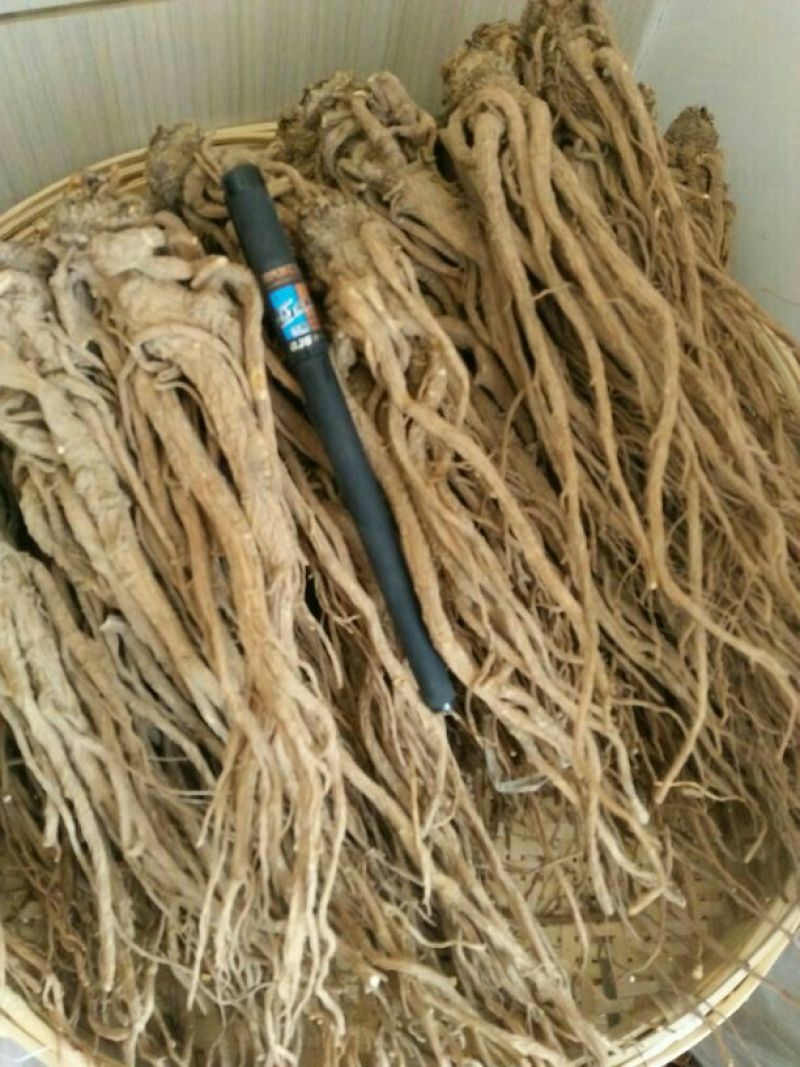 24小时在线服务直供一手货源保证正品当归