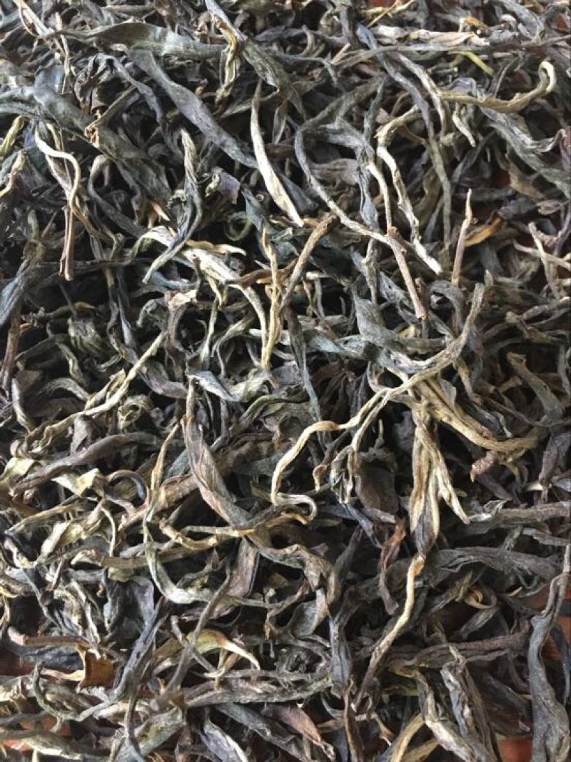 古树普洱茶