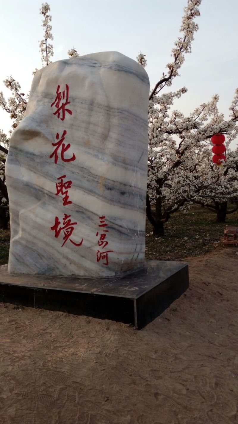 鸭梨纸箱