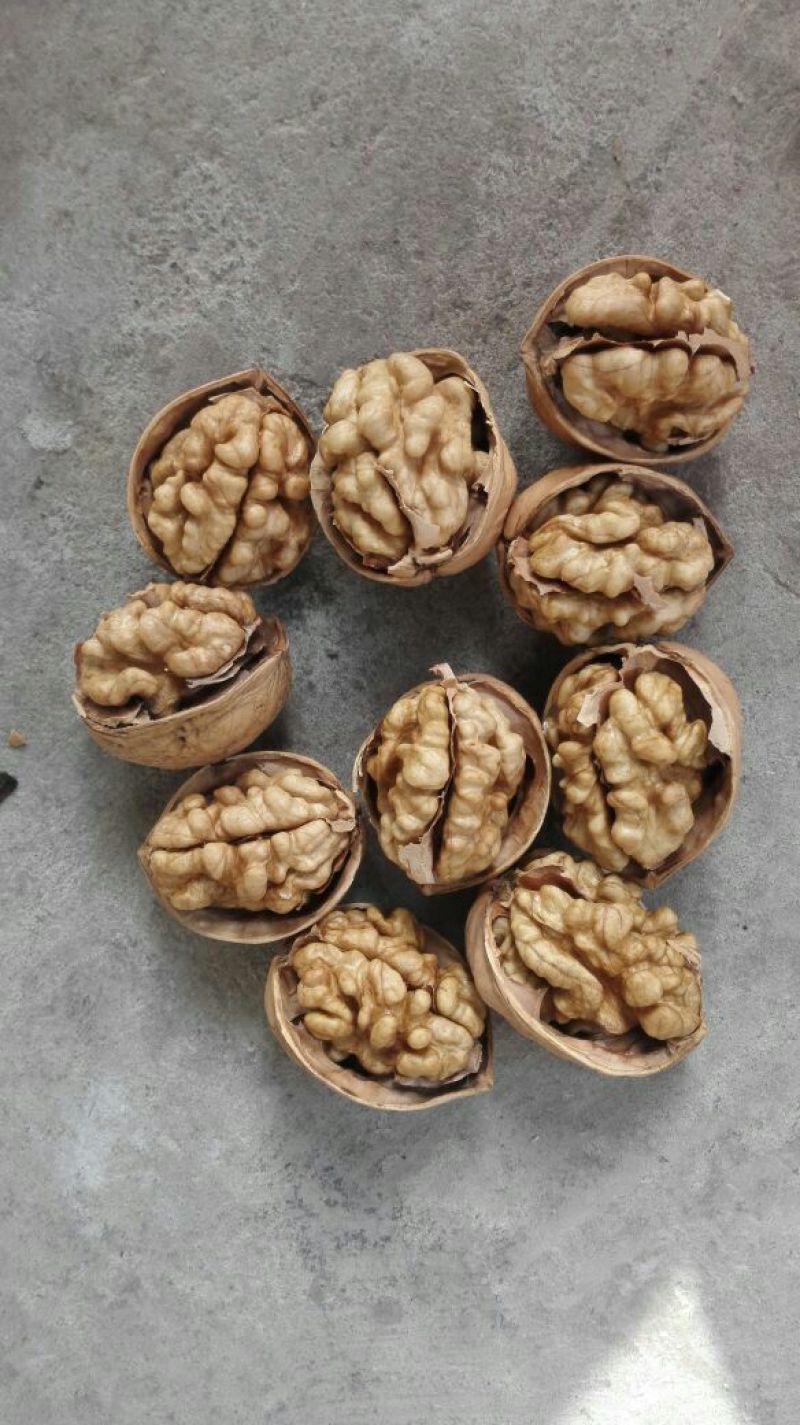 阿克苏185纸皮核桃2024年新货，量大优惠全国发货