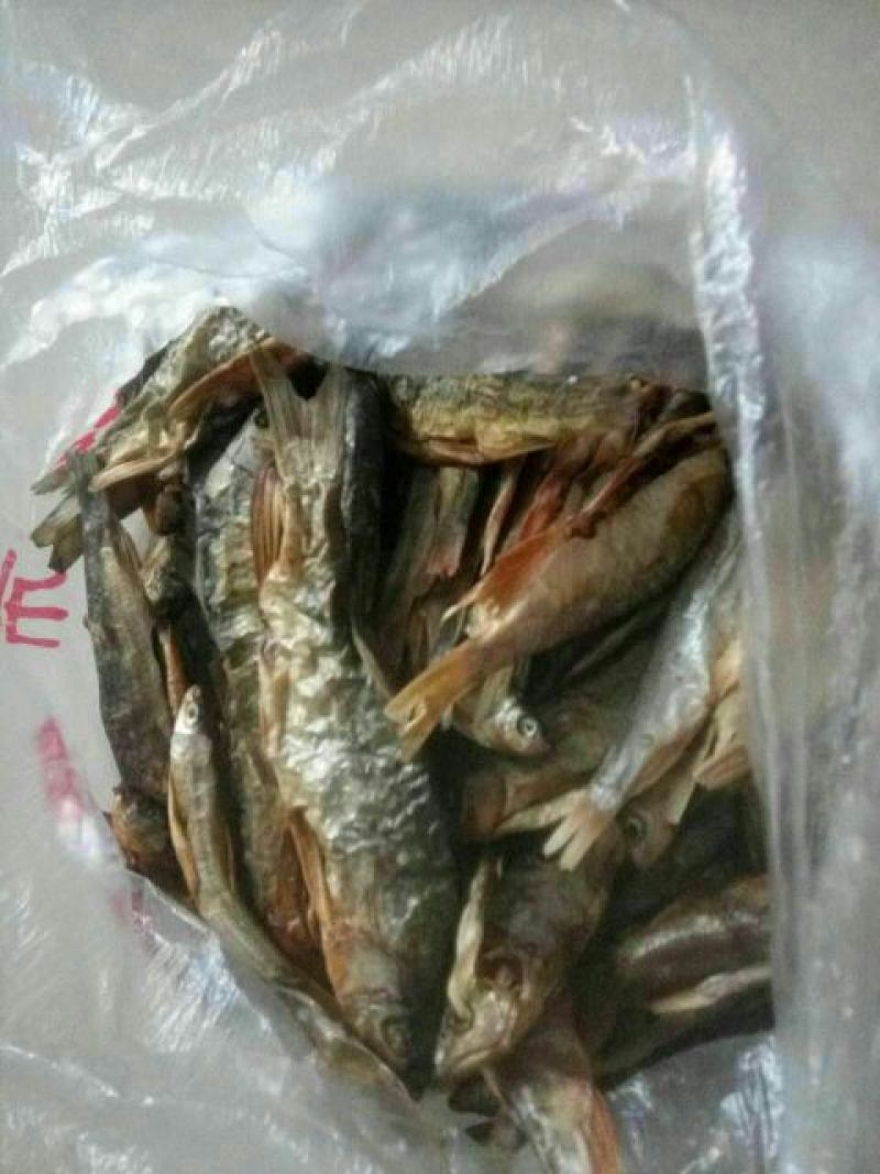 河汊小干鱼