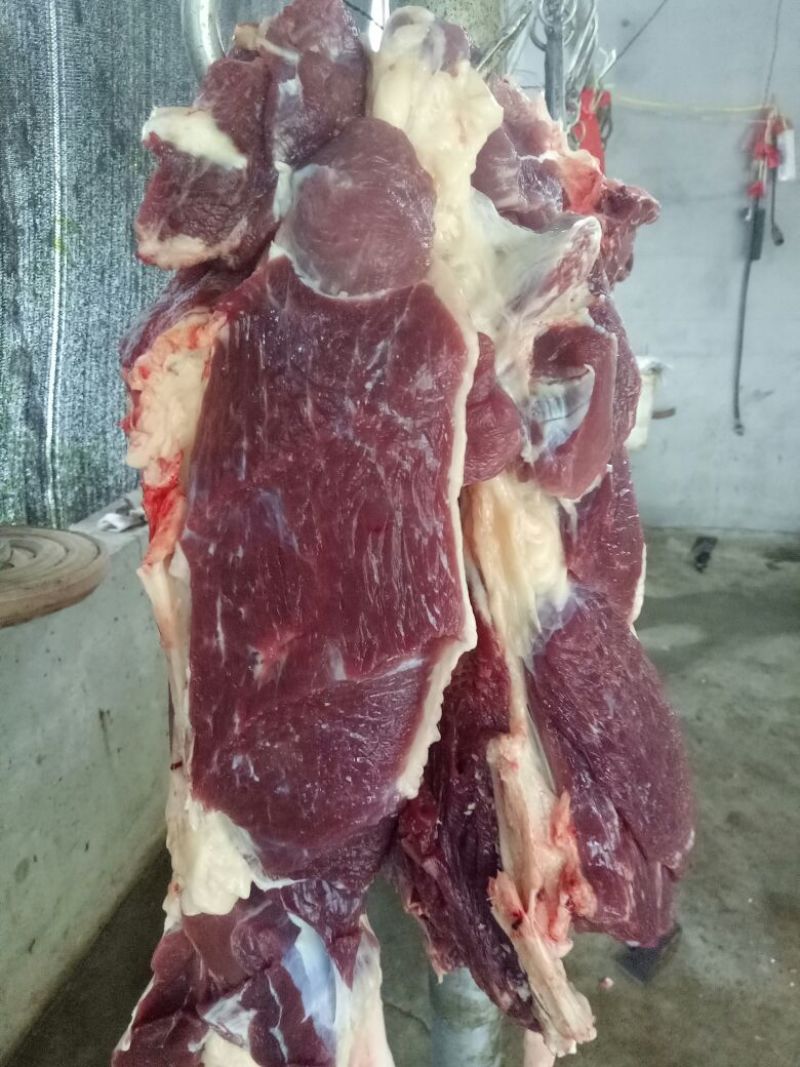 驴肉鲜货