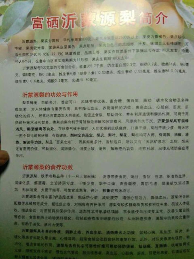 富硒梨400~450g纸箱
