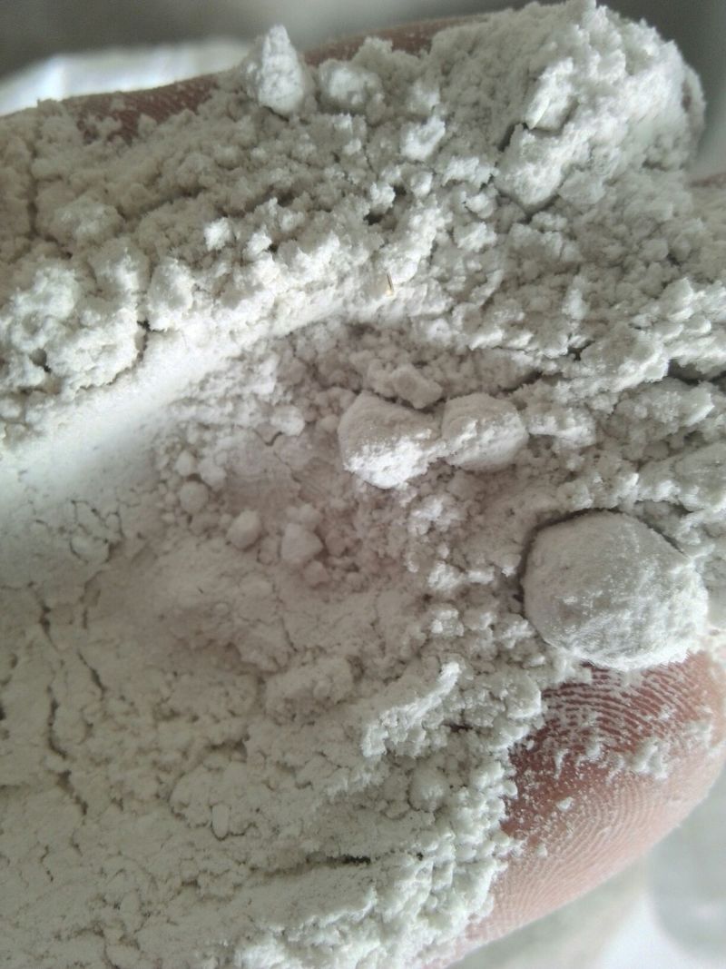 红薯粉面