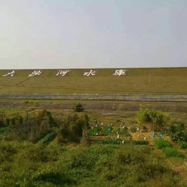 鱼干炸鱼干