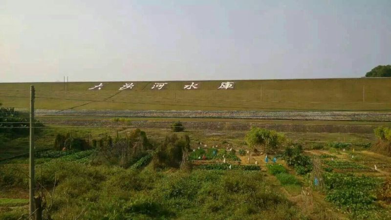 鱼干炸鱼干