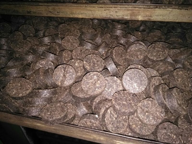 黑茶