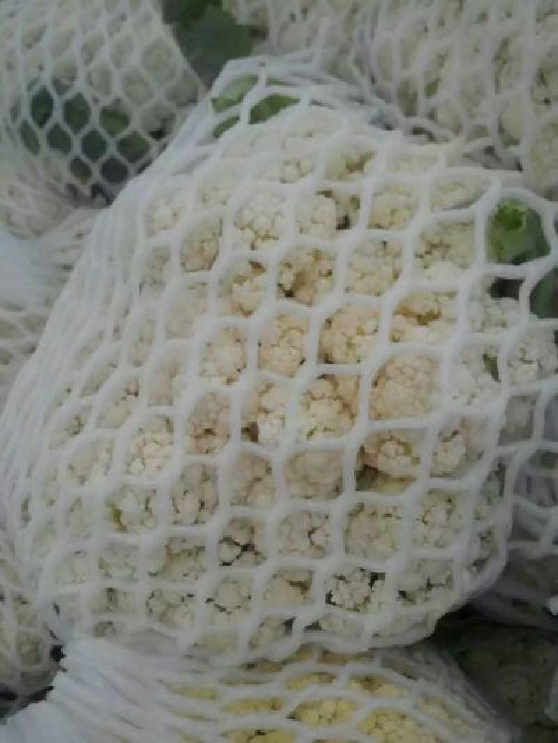 菜花2斤适中乳白