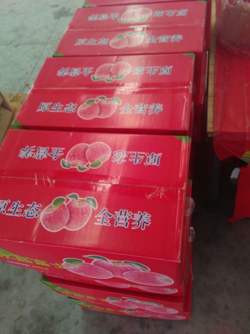 水晶富士苹果80mm以上纸袋，大量现货欢迎电话咨询