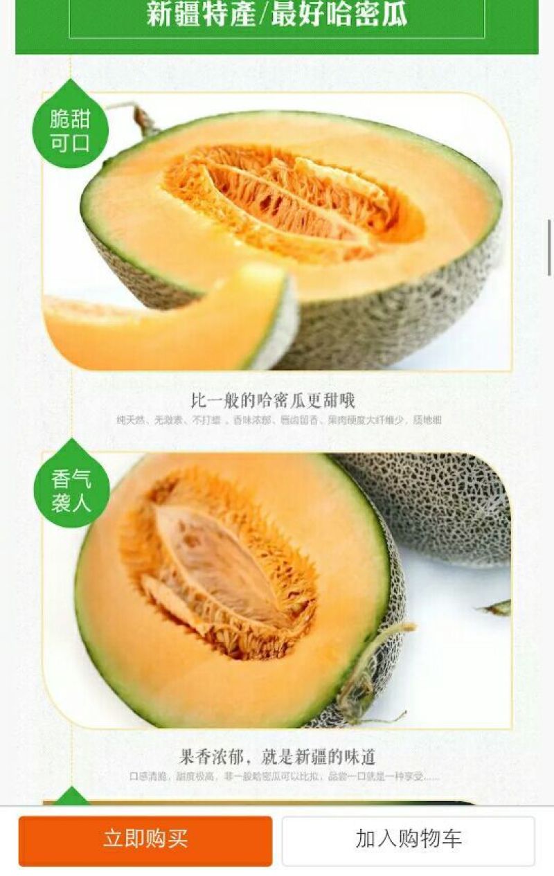 西州蜜瓜3斤以上椭圆形