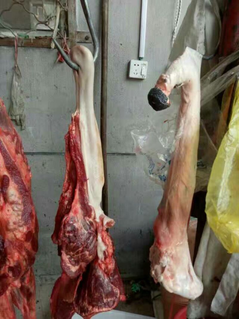 驴肉鲜货