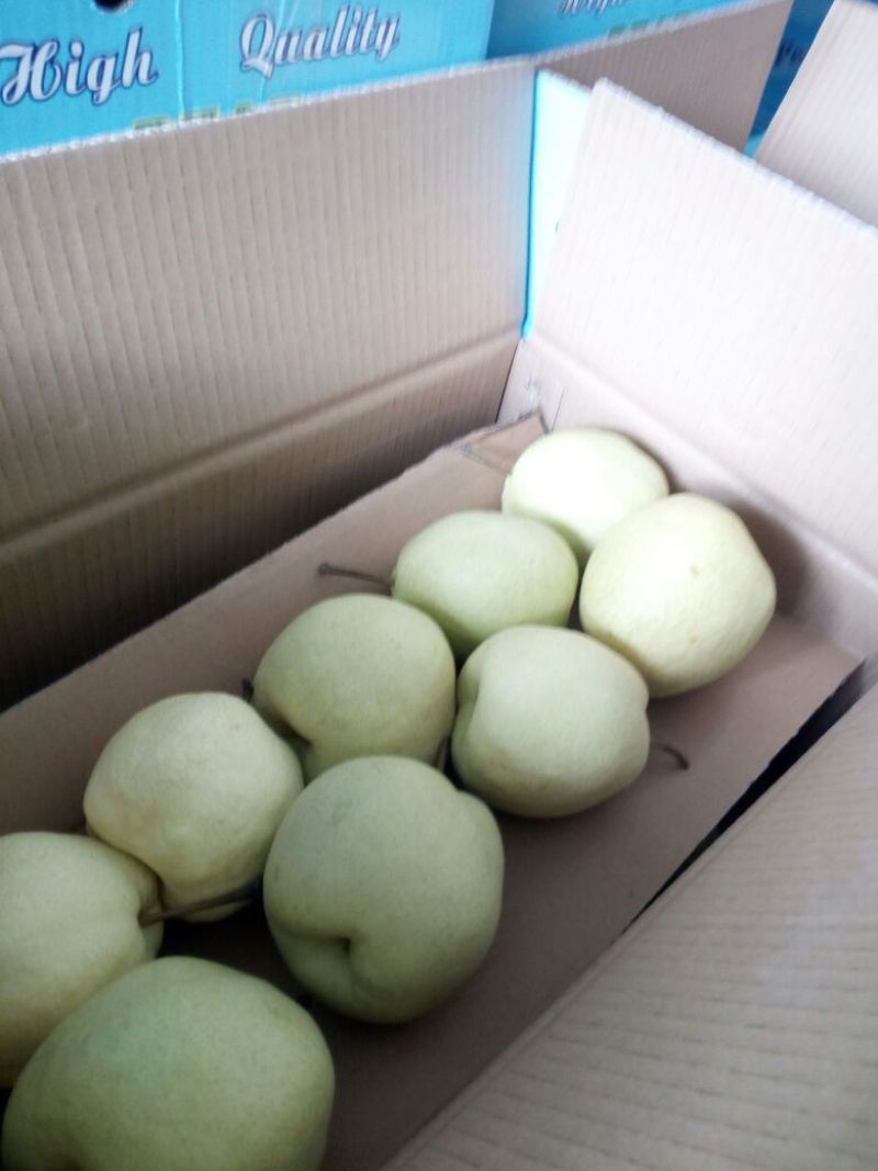 砀山梨200~250g纸袋