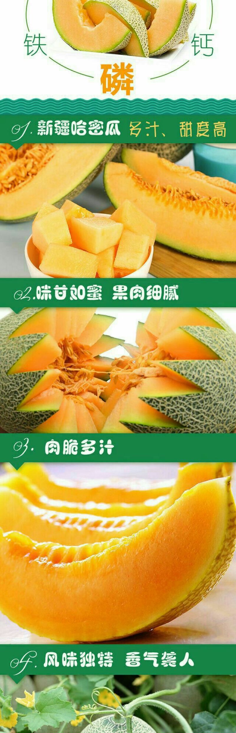 西州蜜瓜5斤以上椭圆形