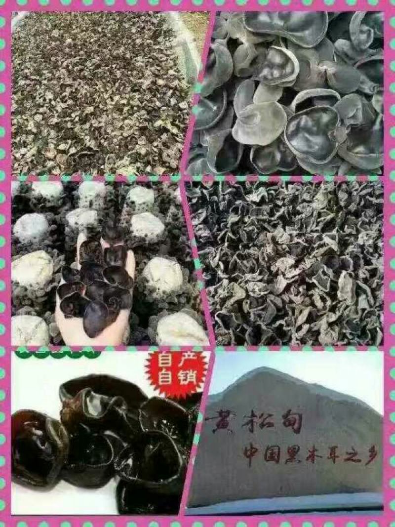 秋耳特级