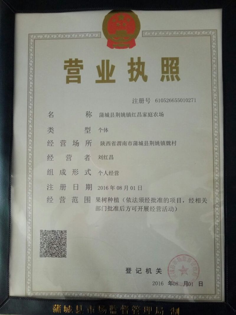 蒲城酥梨纸袋