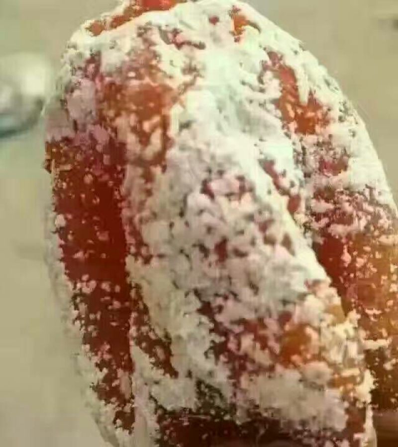 柿饼1~2两