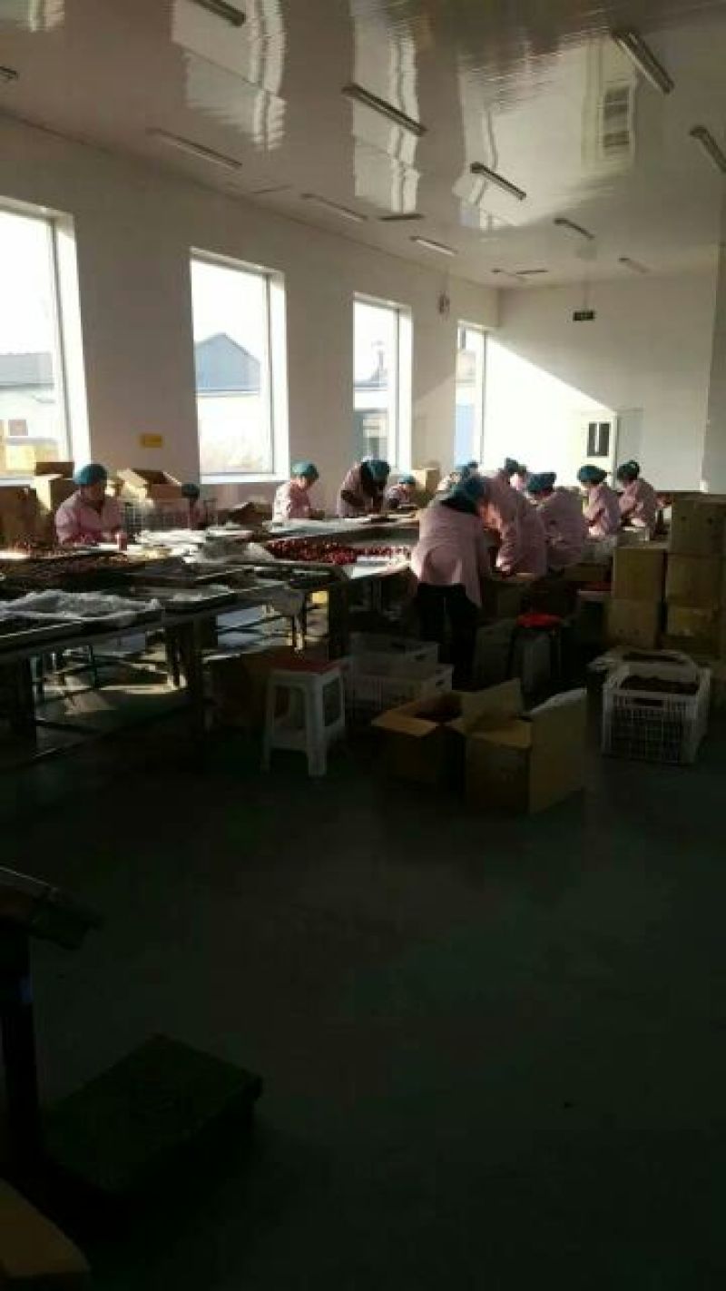 红枣夹核桃2个散装
