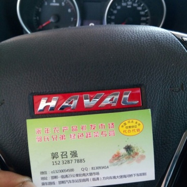 白花菜散装