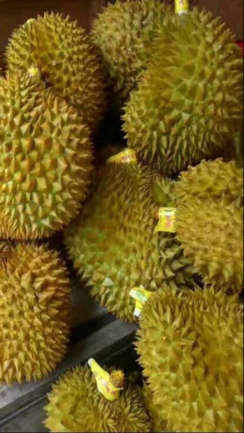 榴莲