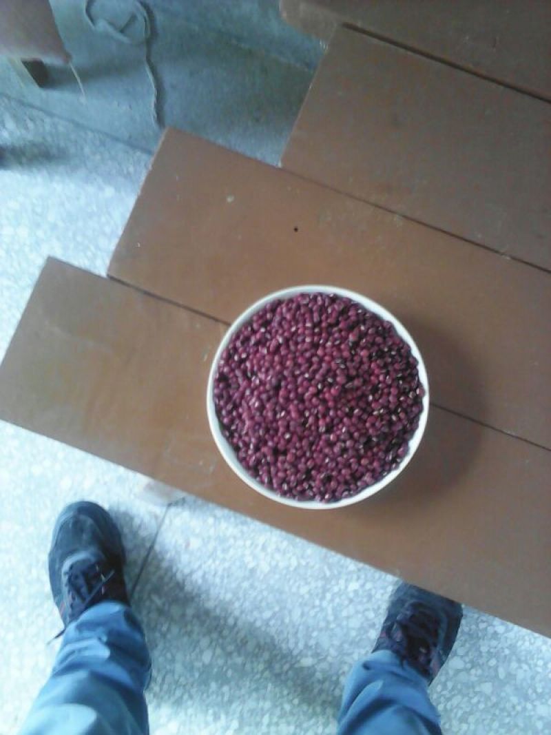 红小豆散装