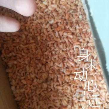 鱿鱼干包装