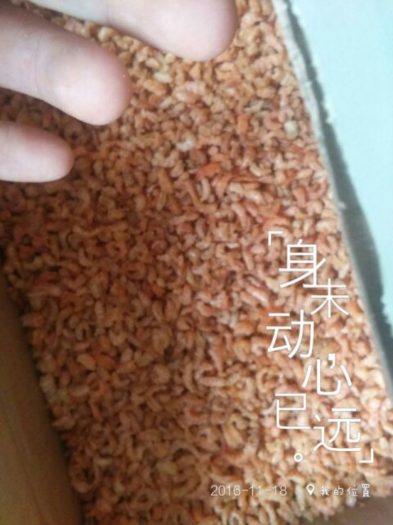 鱿鱼干包装