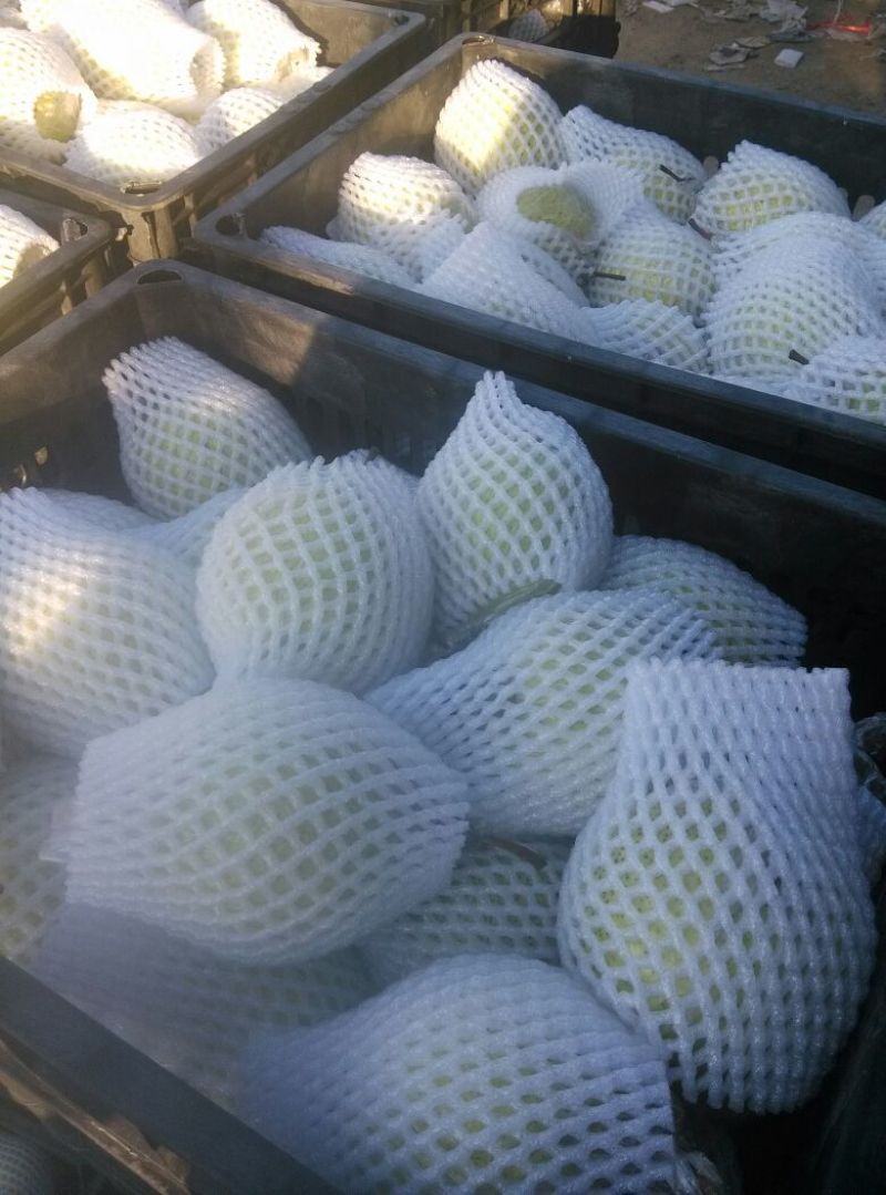 鸭梨250~300g纸加膜
