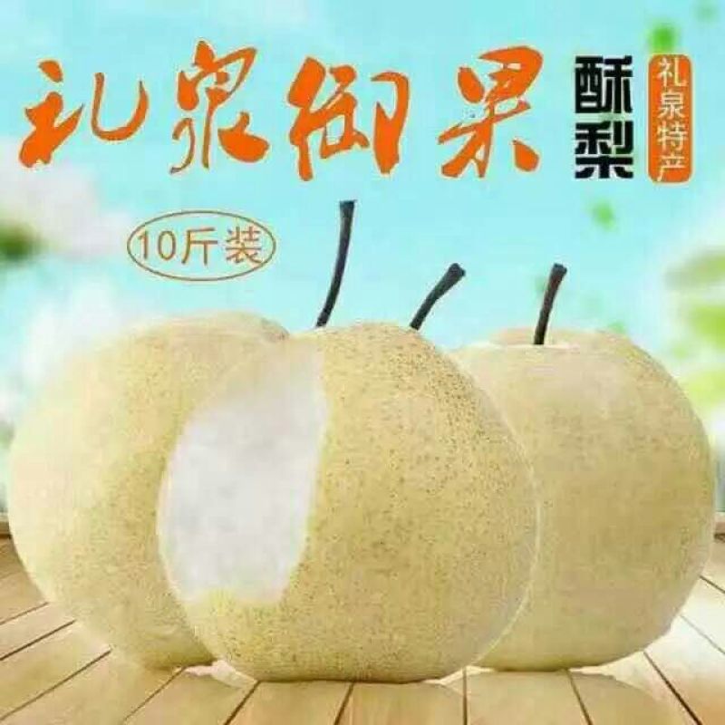 礼泉酥梨250~300g纸箱