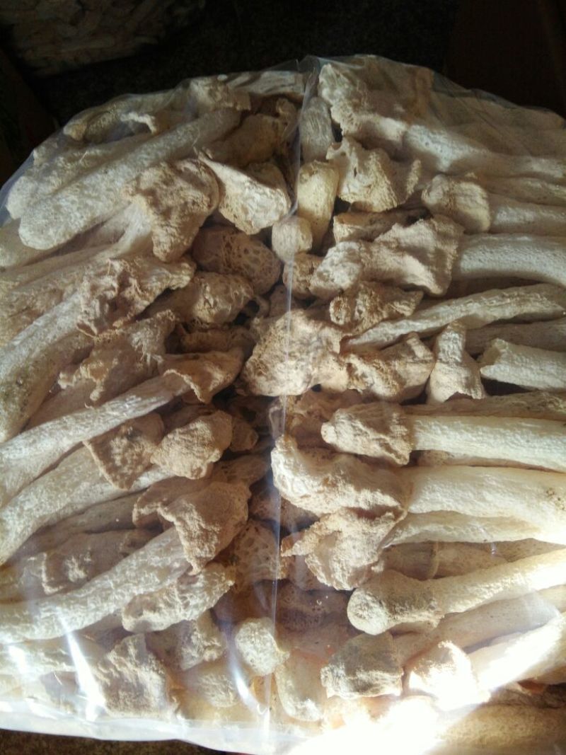 干竹荪特级