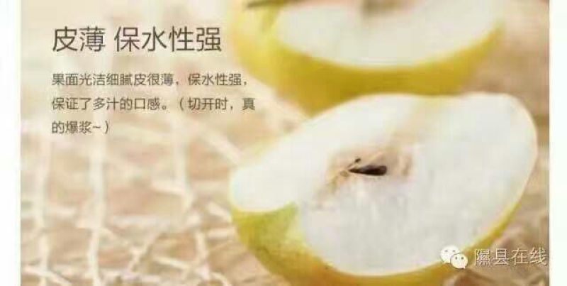 玉露香300~350g膜袋