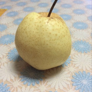 雪花梨