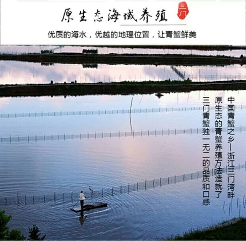 三门青蟹食用雌蟹