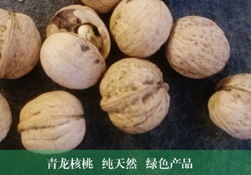 纸皮核桃去皮