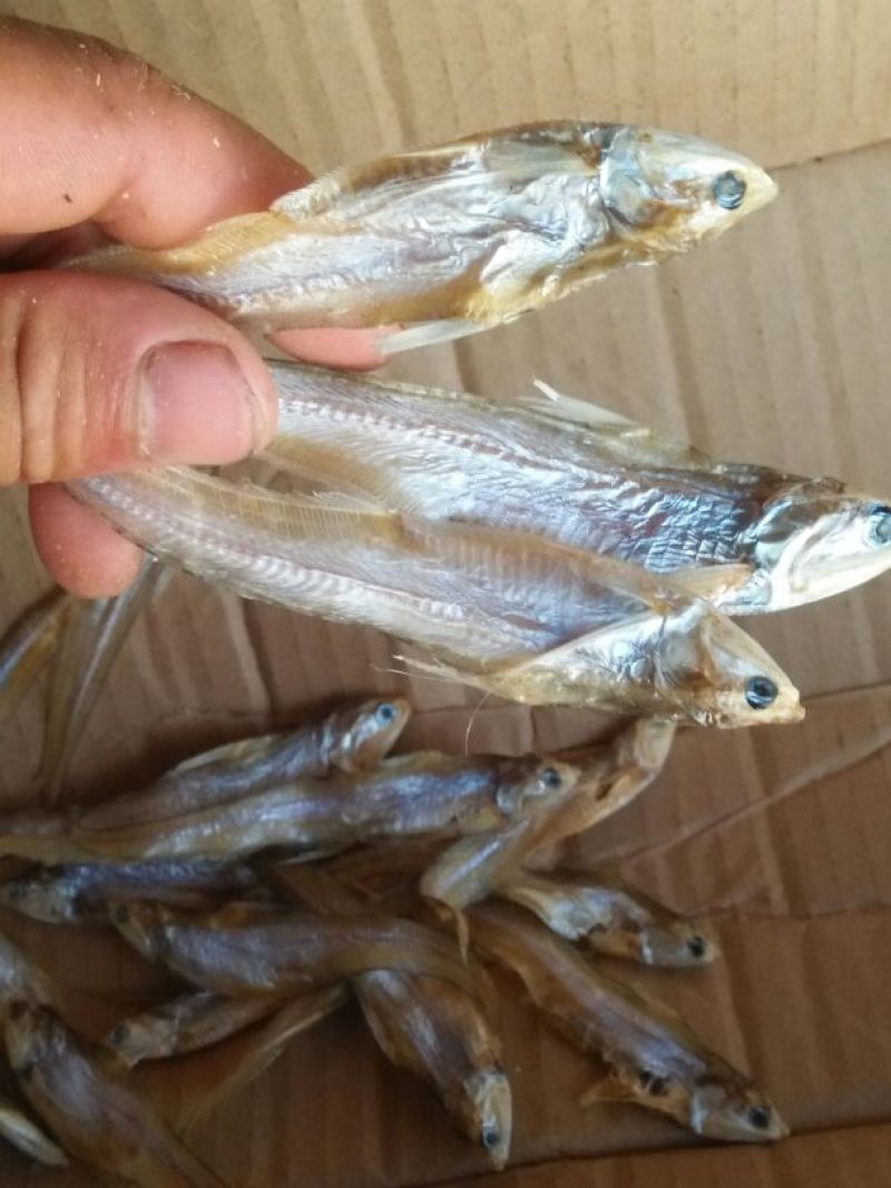 火焙鱼稻谷香味