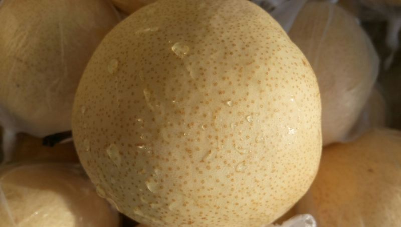 礼泉酥梨150~200g纸箱