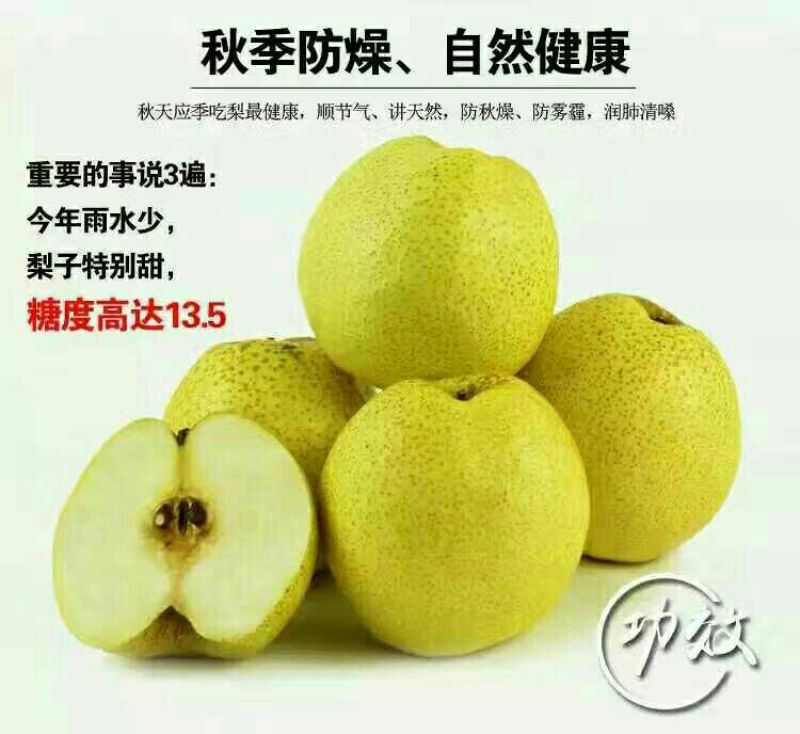 砀山梨纸箱250~300g
