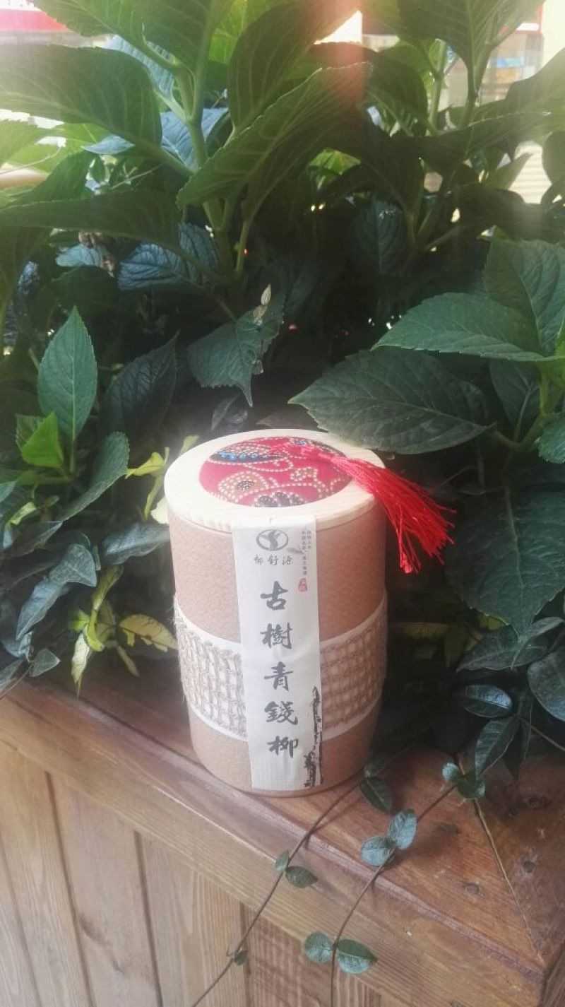 青钱柳茶特级