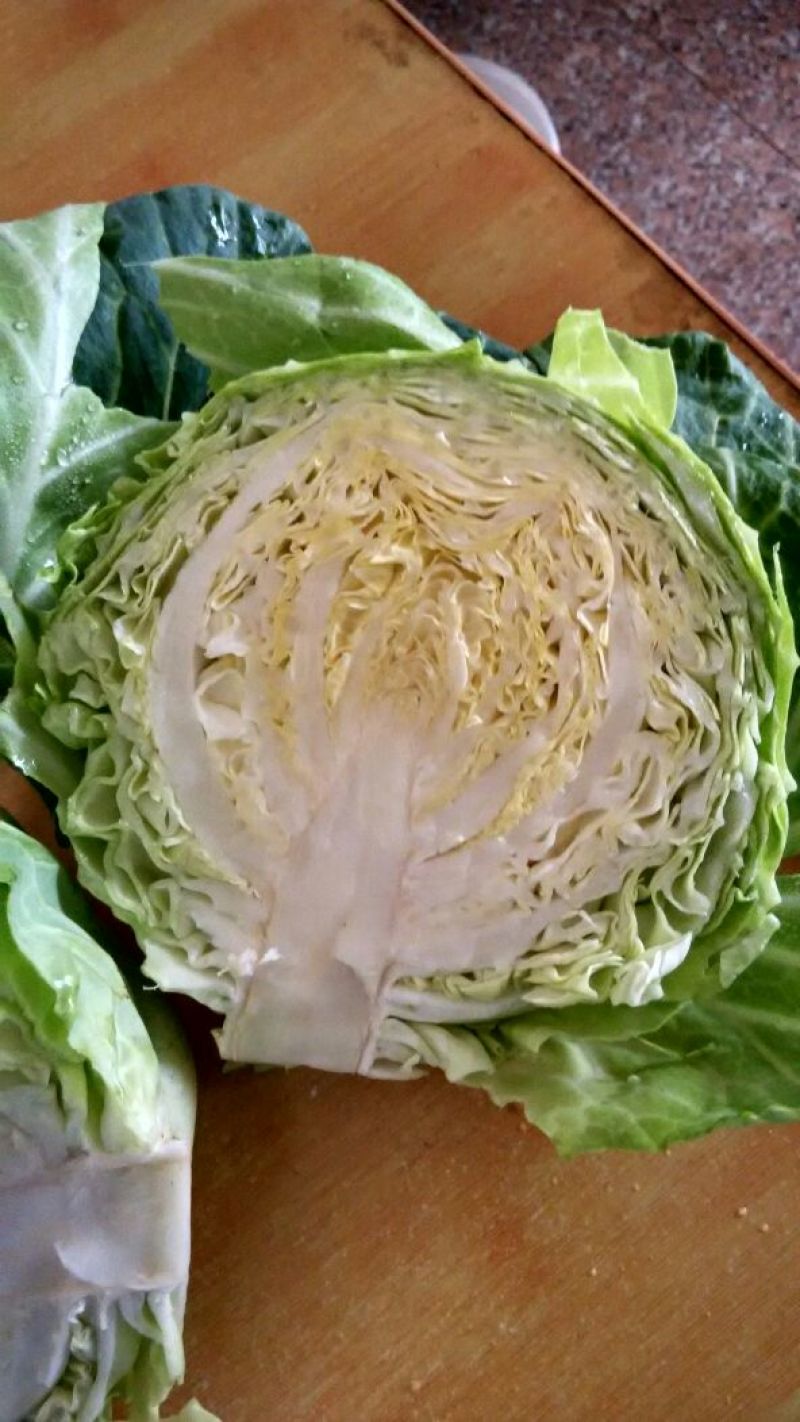 皱叶甘蓝，薄叶甘蓝，旺旺，绿源，斯特丹，各种品种