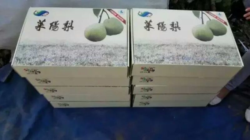 梨300~350g纸箱