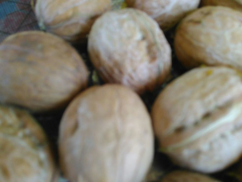 核桃去皮